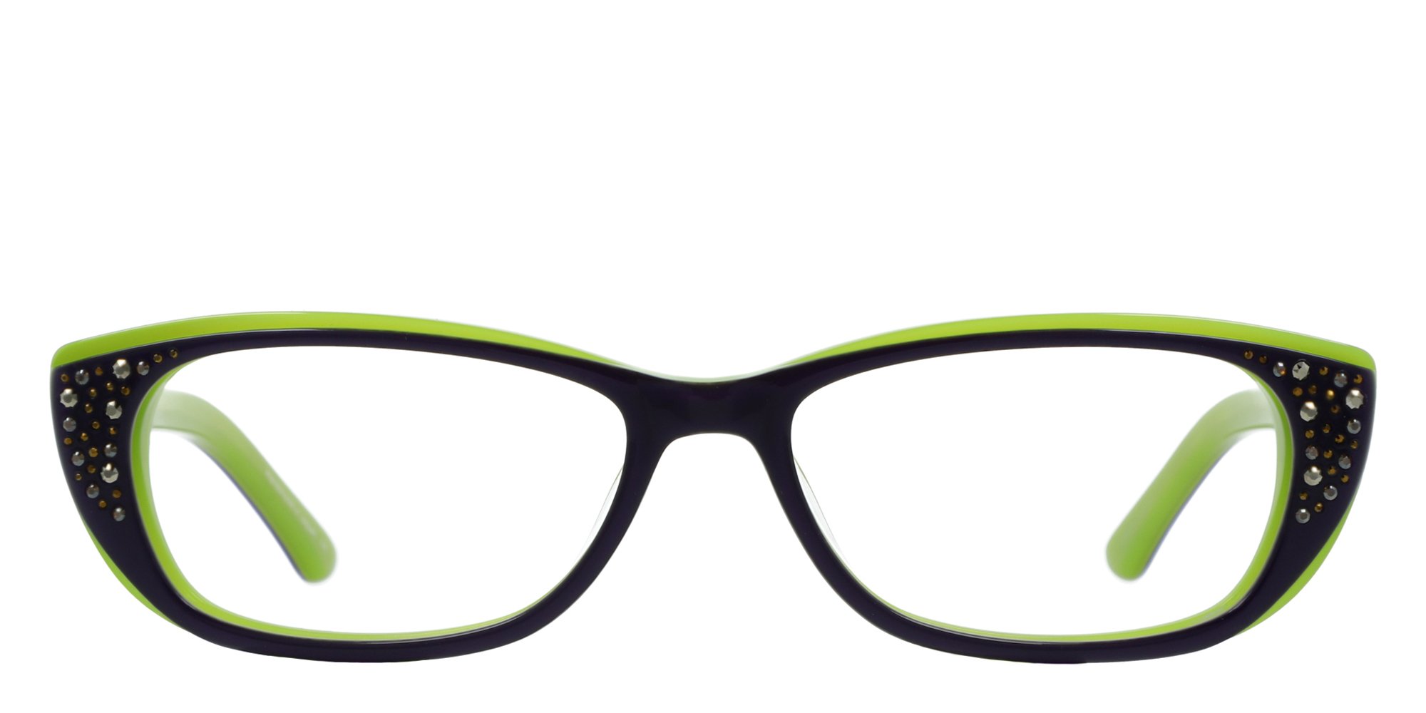 Judith leiber sales frames