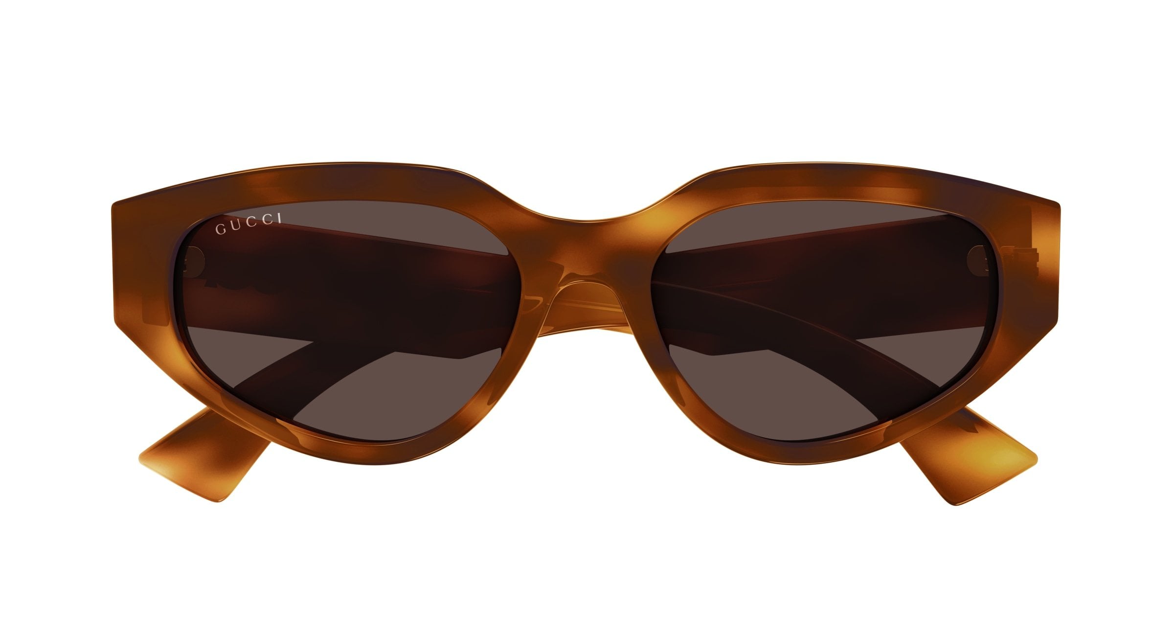 Havana Gucci GG1845SA Sunglasses — Cat Eye | KITS