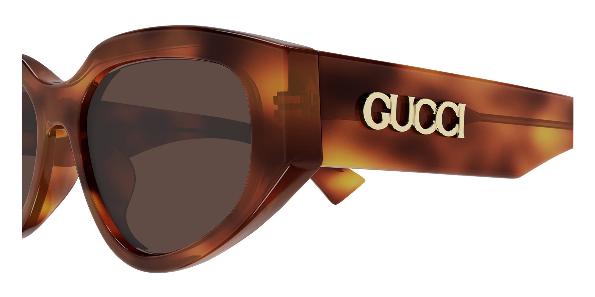 Havana Gucci GG1845SA Sunglasses — Cat Eye | KITS