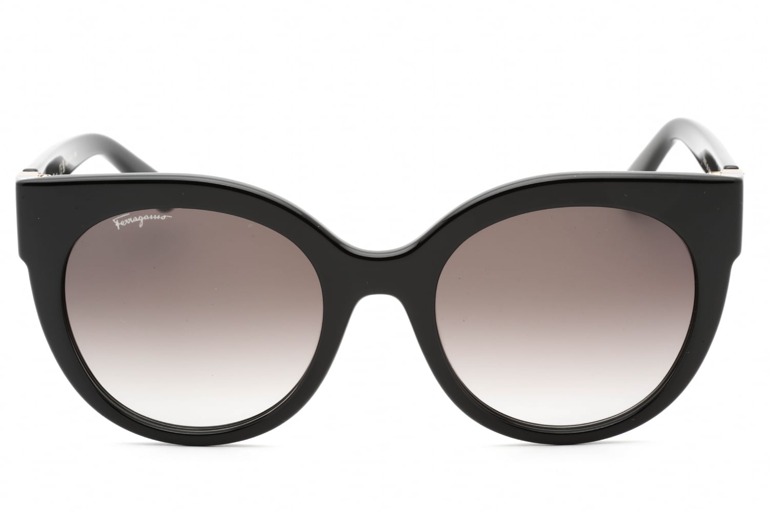 Kits.com -- Salvatore Ferragamo SF1031S display picture 1