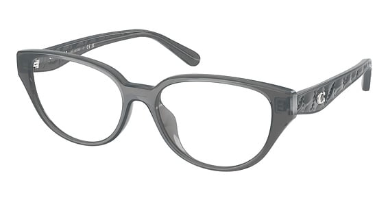 COACH HC6279D - Milky Dark Grey, Acetate, Cat Eye frame