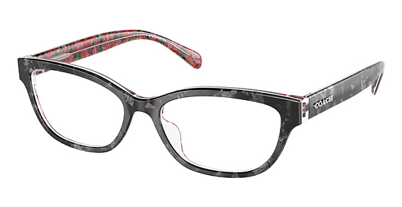 COACH HC6250U - Black Tortoise, Plastic, Oval frame