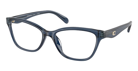 COACH HC6243U - Transparent Blue, Plastic, Oval frame