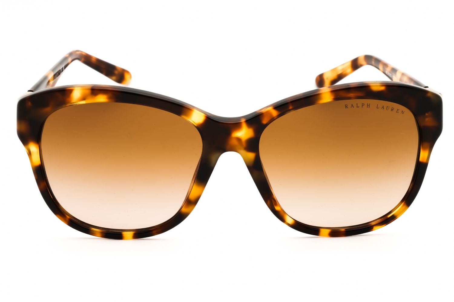 Ralph Lauren 0RL8190Q - Havana, Acetate, Oval frame