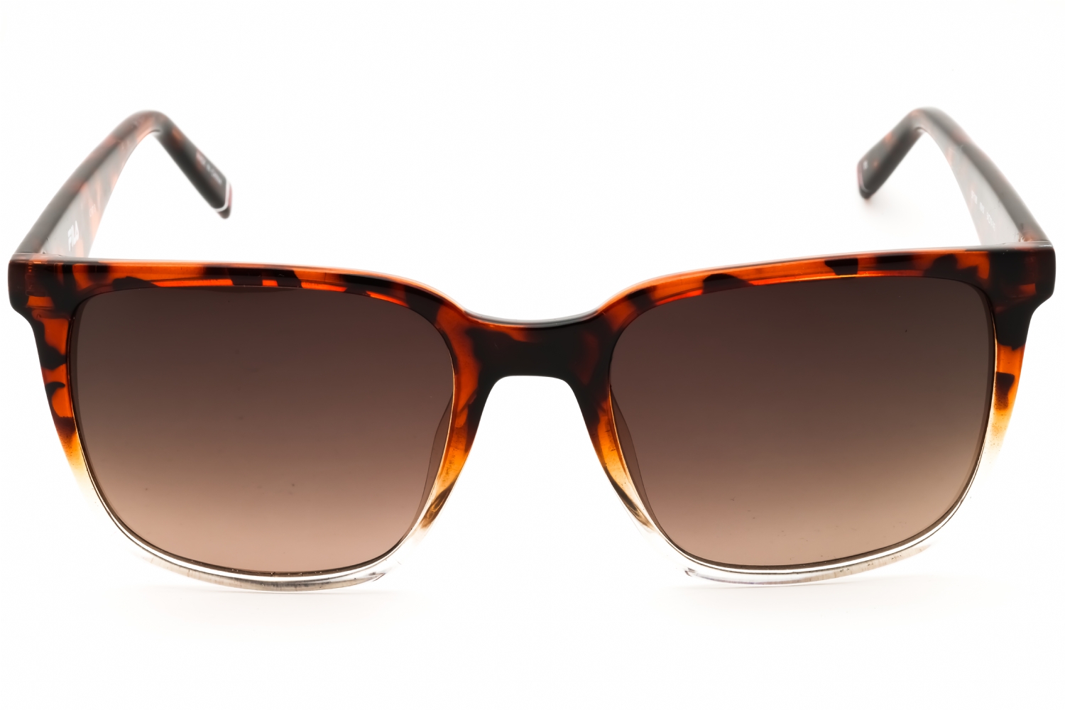 FILA SFI188 - Havana, Acetate, Aviator frame