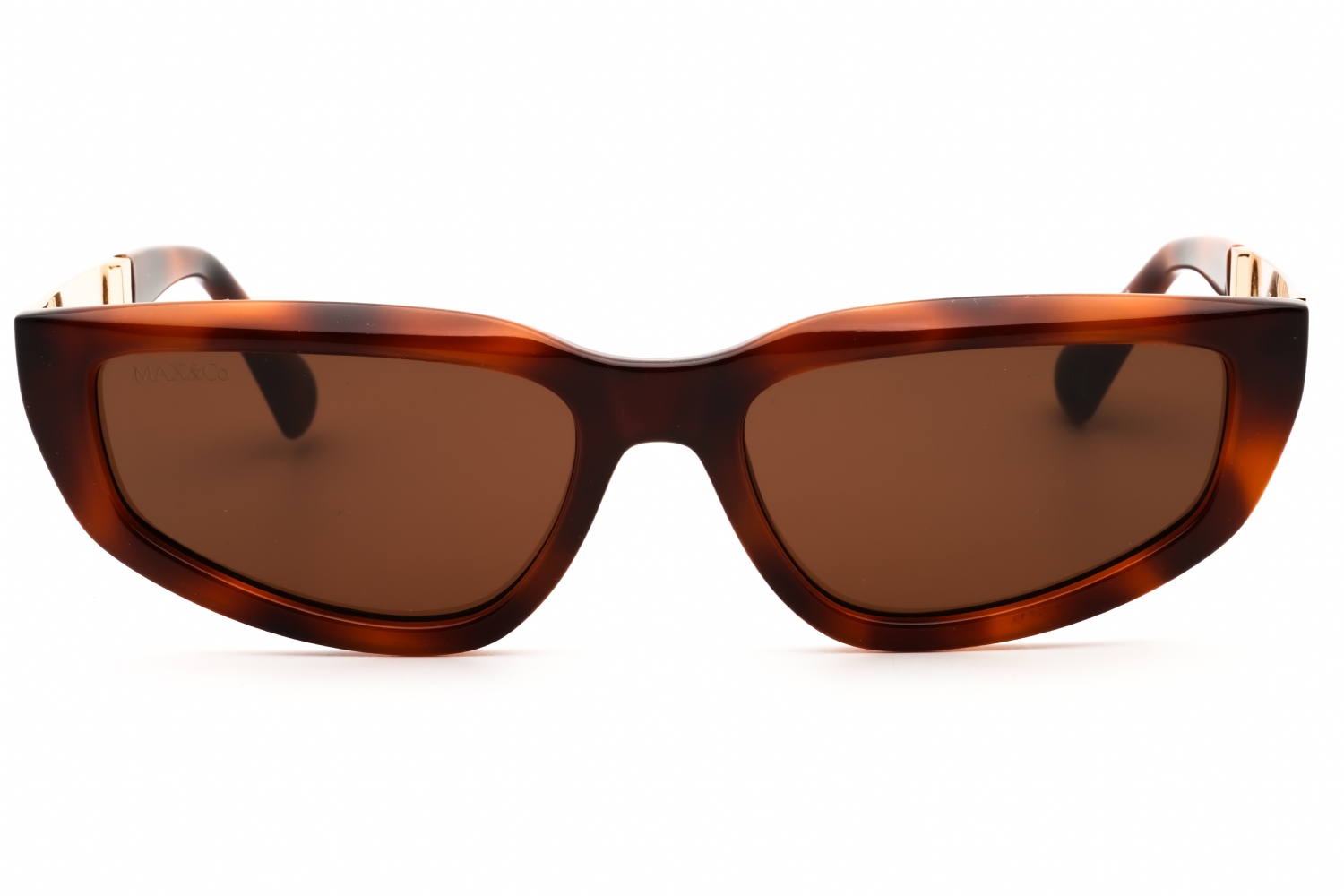 Max & Co MO0125 - Dark Havana, Acetate, Cat Eye frame