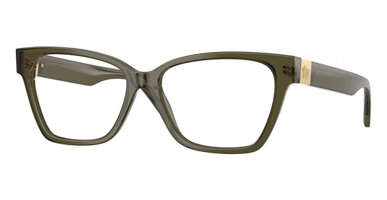 Versace VE3382 - Transparent Green, Plastic, Cat Eye frame