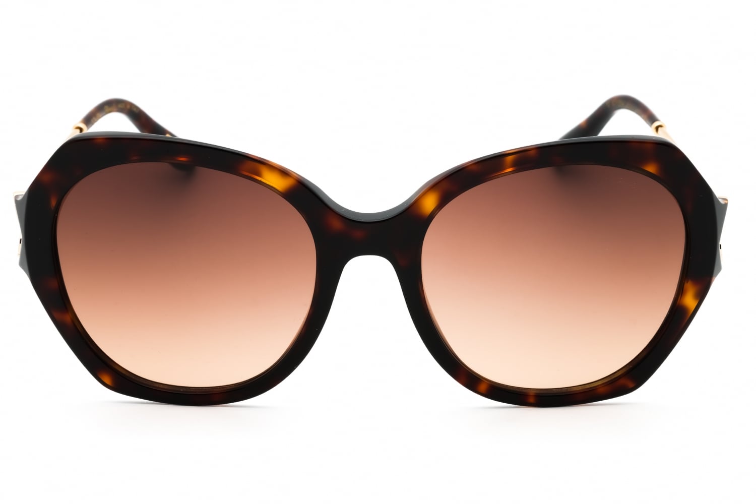 Chopard SCH354V - Shiny Brown Havana, Acetate, Round frame
