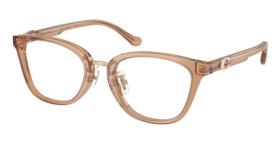 COACH HC6272F - Transparent Brown, Plastic, Cat Eye frame
