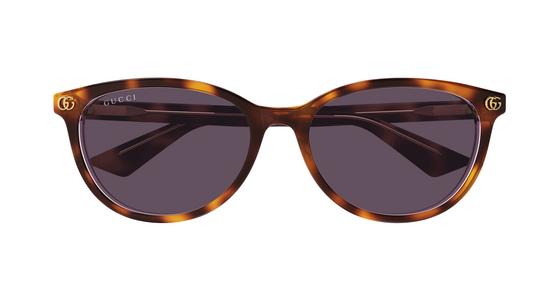 Gucci GG1818SK - Havana, Acetate, Round frame