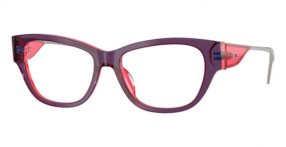 Diesel DL4024U - Bilayer Pink Transparent, Plastic, Oval frame