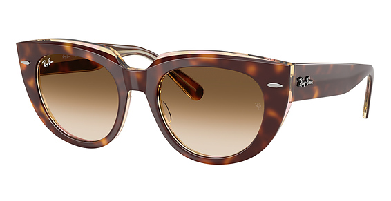 Kits.com -- Ray-Ban RB4640 display picture 2