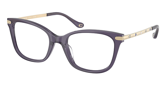 COACH HC6261BU - Milky Eggplant, Plastic, Cat Eye frame